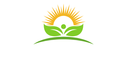 Optus Innov 8 Seed